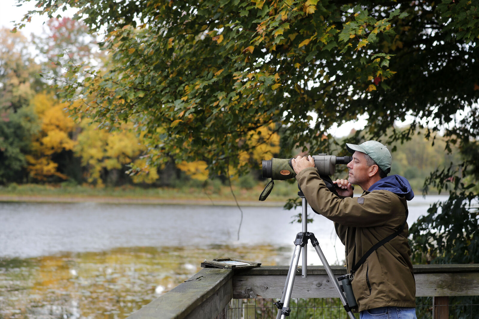 Beaver Meadow Audubon Center bird watching